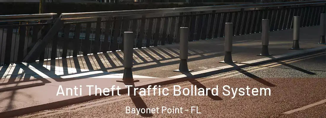  Anti Theft Traffic Bollard System Bayonet Point - FL