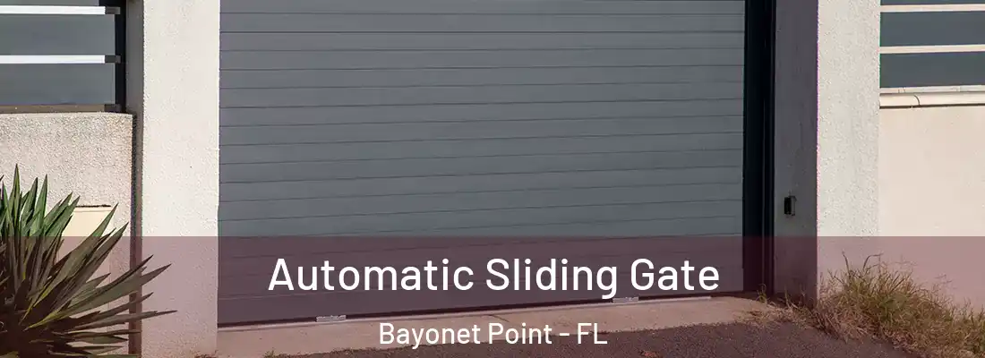  Automatic Sliding Gate Bayonet Point - FL