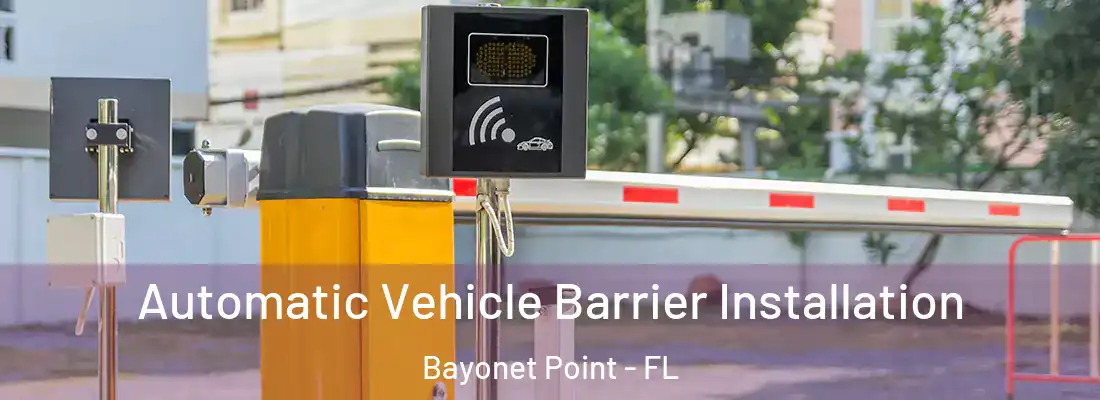 Automatic Vehicle Barrier Installation Bayonet Point - FL