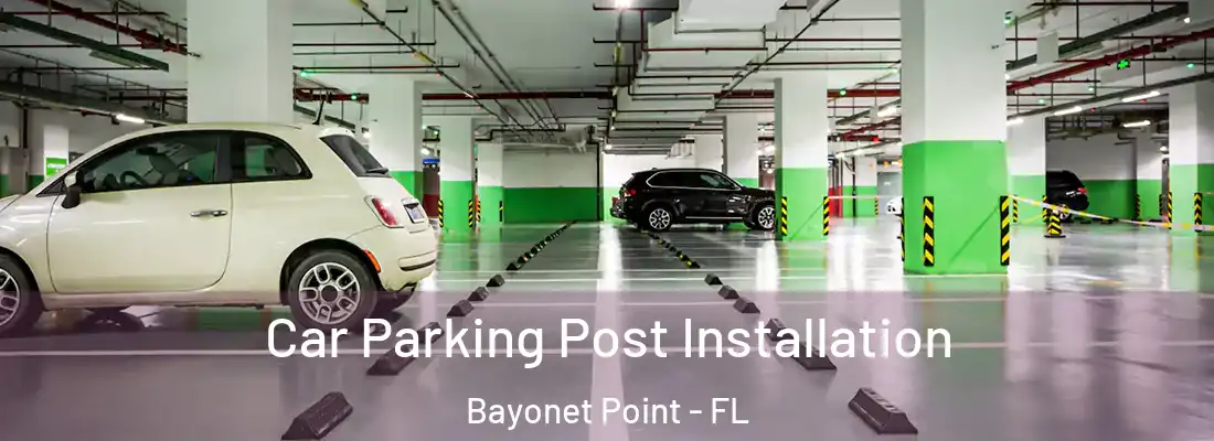  Car Parking Post Installation Bayonet Point - FL