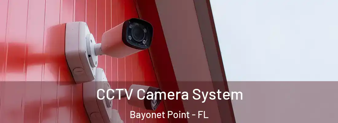 CCTV Camera System Bayonet Point - FL