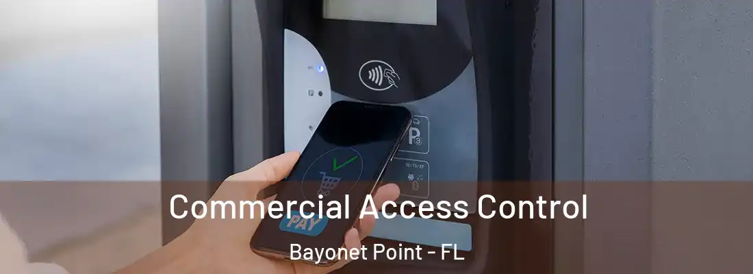 Commercial Access Control Bayonet Point - FL