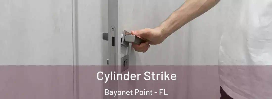  Cylinder Strike Bayonet Point - FL