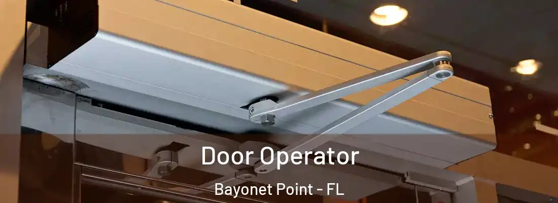  Door Operator Bayonet Point - FL