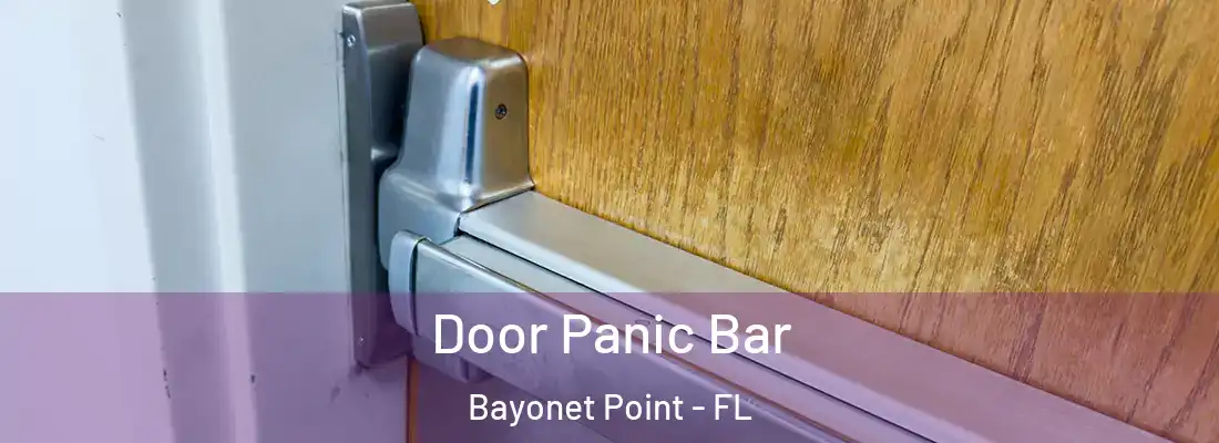 Door Panic Bar Bayonet Point - FL