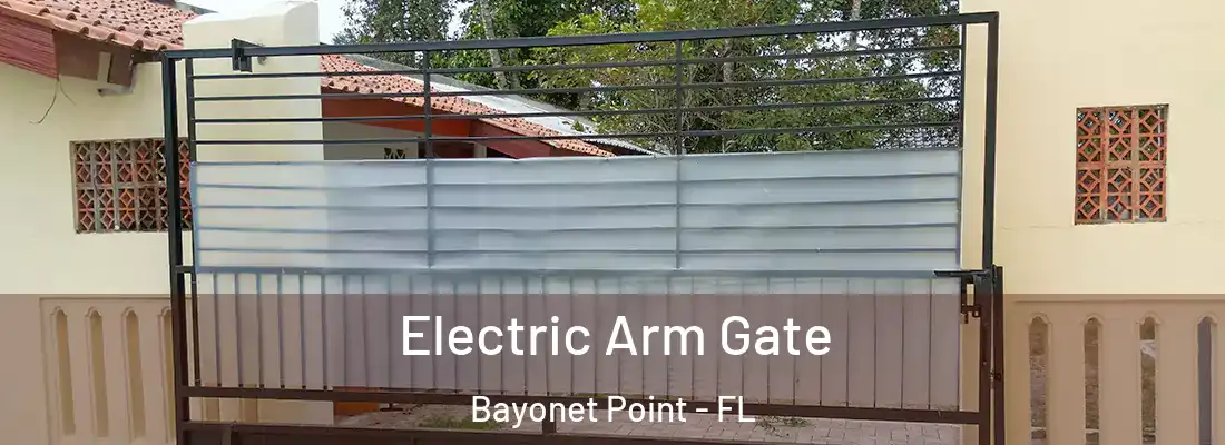  Electric Arm Gate Bayonet Point - FL
