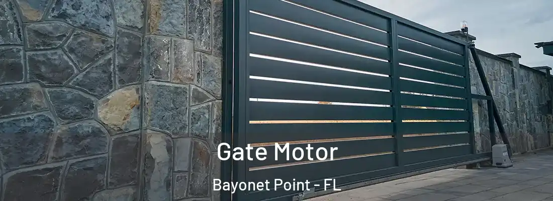 Gate Motor Bayonet Point - FL