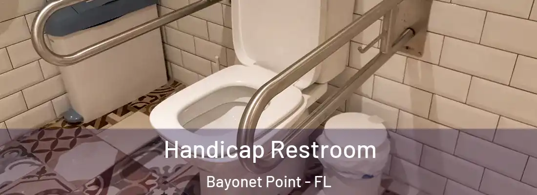  Handicap Restroom Bayonet Point - FL
