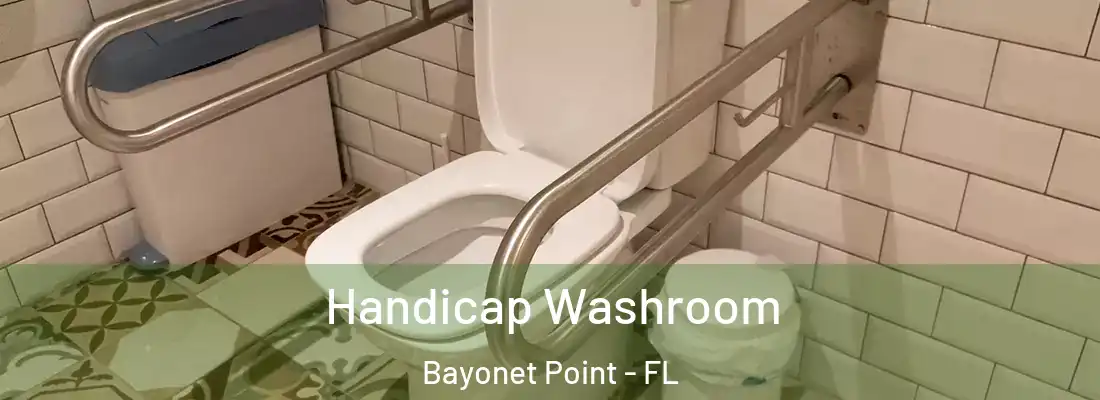  Handicap Washroom Bayonet Point - FL