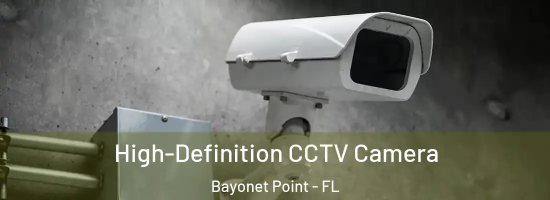  High-Definition CCTV Camera Bayonet Point - FL