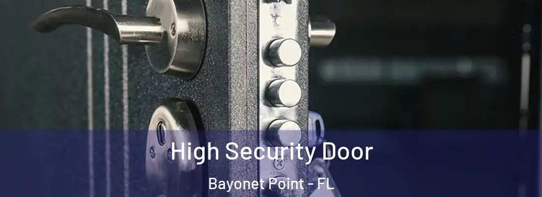  High Security Door Bayonet Point - FL