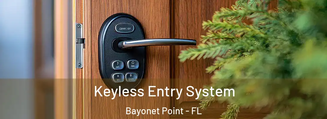  Keyless Entry System Bayonet Point - FL