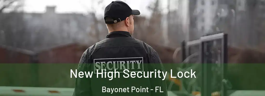  New High Security Lock Bayonet Point - FL