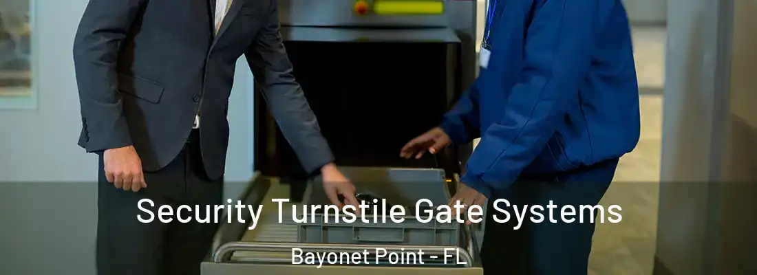  Security Turnstile Gate Systems Bayonet Point - FL