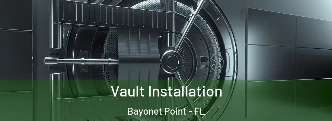 Vault Installation Bayonet Point - FL